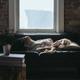 豁达同行者30902